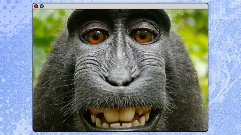 This monkey selfie will protect you from AI slop